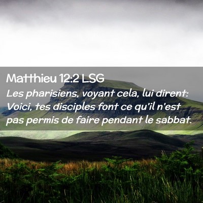 Picture 02 - Matthieu 12:2 LSG - Les pharisiens, voyant cela, lui dirent: Voici, - Bible Verse Picture
