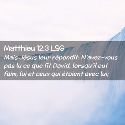 Picture 02 - Matthieu 12:3 LSG - Mais Jésus leur répondit: N'avez-vous pas lu ce - Bible Verse Picture