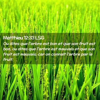 Picture 02 - Matthieu 12:33 LSG - Ou dites que l'arbre est bon et que son fruit est - Bible Verse Picture