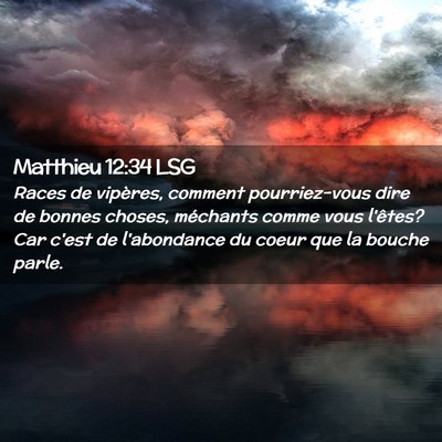 Picture 02 - Matthieu 12:34 LSG - Races de vipères, comment pourriez-vous dire de - Bible Verse Picture