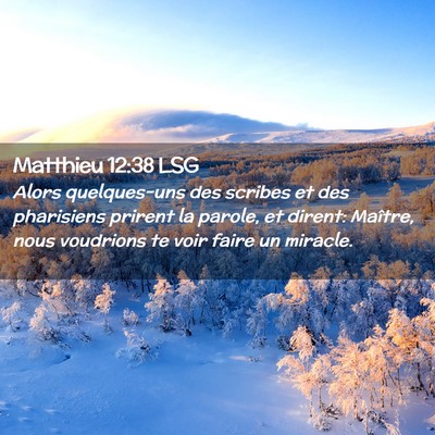 Picture 02 - Matthieu 12:38 LSG - Alors quelques-uns des scribes et des pharisiens - Bible Verse Picture