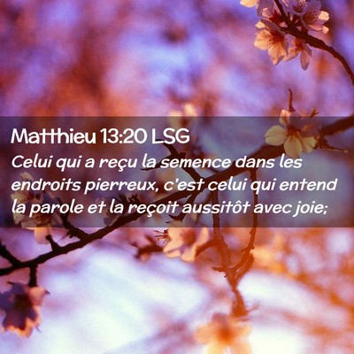 Picture 02 - Matthieu 13:20 LSG - Celui qui a reçu la semence dans les endroits - Bible Verse Picture