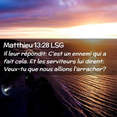 Picture 02 - Matthieu 13:28 LSG - Il leur répondit: C'est un ennemi qui a fait - Bible Verse Picture