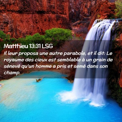Picture 02 - Matthieu 13:31 LSG - Il leur proposa une autre parabole, et il dit: Le - Bible Verse Picture