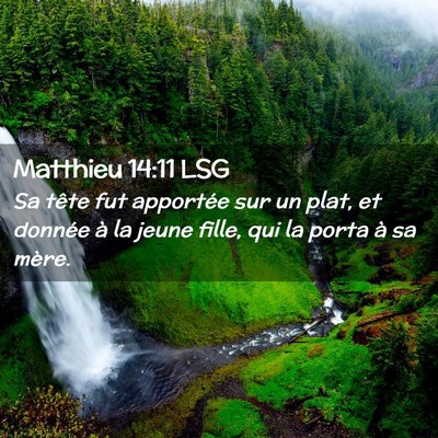 Picture 02 - Matthieu 14:11 LSG - Sa tête fut apportée sur un plat, et donnée à - Bible Verse Picture