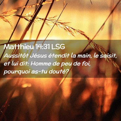 Picture 02 - Matthieu 14:31 LSG - Aussitôt Jésus étendit la main, le saisit, et - Bible Verse Picture