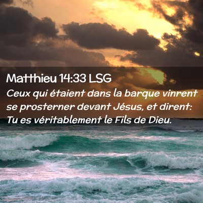 Picture 02 - Matthieu 14:33 LSG - Ceux qui étaient dans la barque vinrent se - Bible Verse Picture