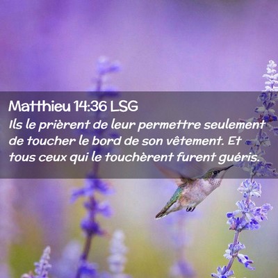Picture 02 - Matthieu 14:36 LSG - Ils le prièrent de leur permettre seulement de - Bible Verse Picture