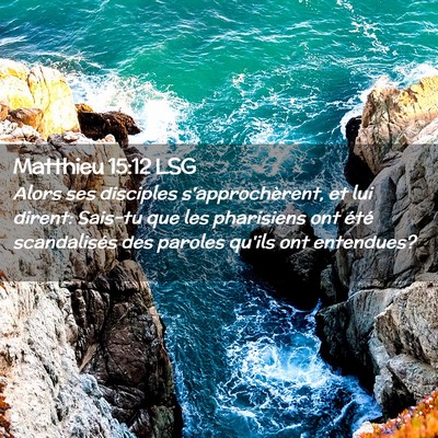 Picture 02 - Matthieu 15:12 LSG - Alors ses disciples s'approchèrent, et lui - Bible Verse Picture
