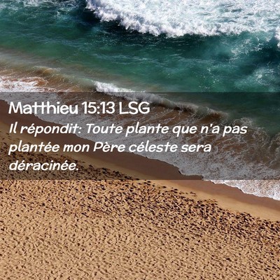 Picture 02 - Matthieu 15:13 LSG - Il répondit: Toute plante que n'a pas plantée - Bible Verse Picture