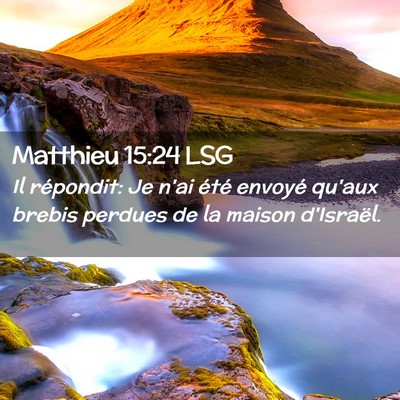 Picture 02 - Matthieu 15:24 LSG - Il répondit: Je n'ai été envoyé qu'aux brebis - Bible Verse Picture