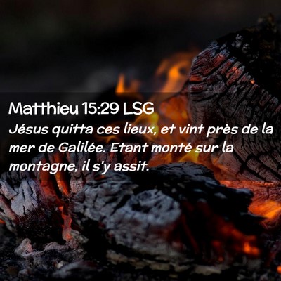 Picture 02 - Matthieu 15:29 LSG - Jésus quitta ces lieux, et vint près de la mer - Bible Verse Picture