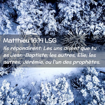 Picture 02 - Matthieu 16:14 LSG - Ils répondirent: Les uns disent que tu es - Bible Verse Picture