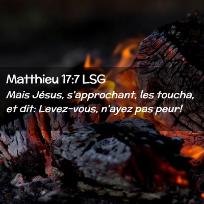 Picture 02 - Matthieu 17:7 LSG - Mais Jésus, s'approchant, les toucha, et dit: - Bible Verse Picture