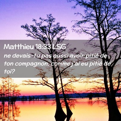Picture 02 - Matthieu 18:33 LSG - ne devais-tu pas aussi avoir pitié de ton - Bible Verse Picture