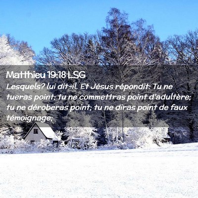 Picture 02 - Matthieu 19:18 LSG - Lesquels? lui dit-il. Et Jésus répondit: Tu ne - Bible Verse Picture
