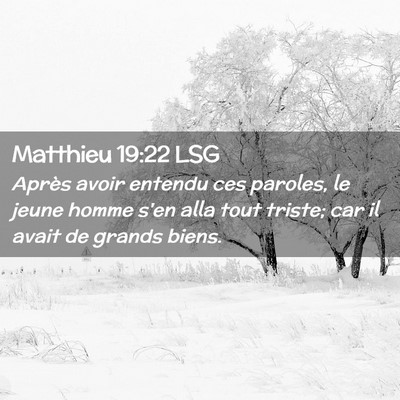 Picture 02 - Matthieu 19:22 LSG - Après avoir entendu ces paroles, le jeune homme - Bible Verse Picture