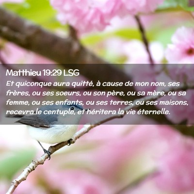 Picture 02 - Matthieu 19:29 LSG - Et quiconque aura quitté, à cause de mon nom, - Bible Verse Picture