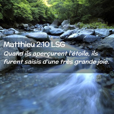 Picture 02 - Matthieu 2:10 LSG - Quand ils aperçurent l'étoile, ils furent - Bible Verse Picture