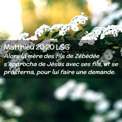 Picture 02 - Matthieu 20:20 LSG - Alors la mère des fils de Zébédée s'approcha - Bible Verse Picture
