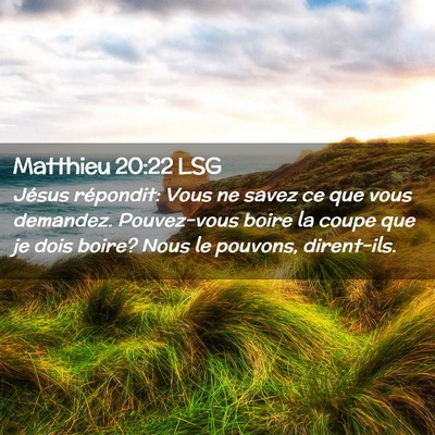 Picture 02 - Matthieu 20:22 LSG - Jésus répondit: Vous ne savez ce que vous - Bible Verse Picture