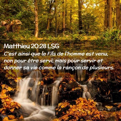 Picture 02 - Matthieu 20:28 LSG - C'est ainsi que le Fils de l'homme est venu, non - Bible Verse Picture