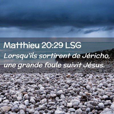 Picture 02 - Matthieu 20:29 LSG - Lorsqu'ils sortirent de Jéricho, une grande - Bible Verse Picture