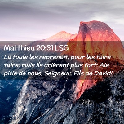 Picture 02 - Matthieu 20:31 LSG - La foule les reprenait, pour les faire taire; - Bible Verse Picture