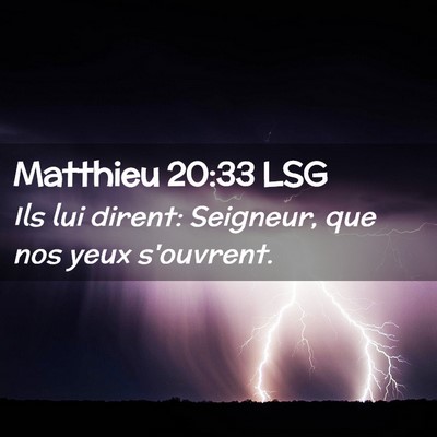 Picture 02 - Matthieu 20:33 LSG - Ils lui dirent: Seigneur, que nos yeux - Bible Verse Picture