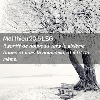 Picture 02 - Matthieu 20:5 LSG - Il sortit de nouveau vers la sixième heure et - Bible Verse Picture