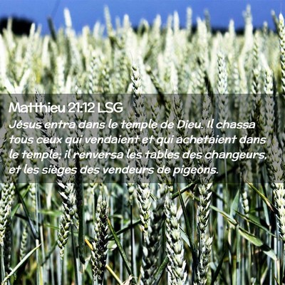 Picture 02 - Matthieu 21:12 LSG - Jésus entra dans le temple de Dieu. Il chassa - Bible Verse Picture