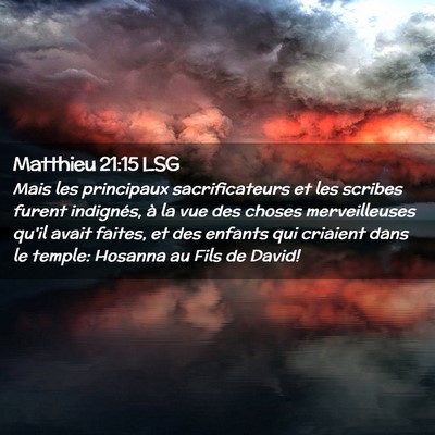 Picture 02 - Matthieu 21:15 LSG - Mais les principaux sacrificateurs et les scribes - Bible Verse Picture