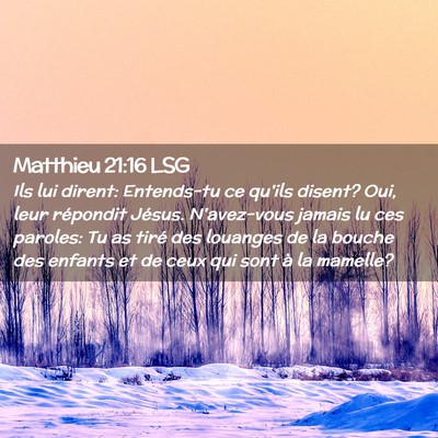 Picture 02 - Matthieu 21:16 LSG - Ils lui dirent: Entends-tu ce qu'ils disent? Oui, - Bible Verse Picture