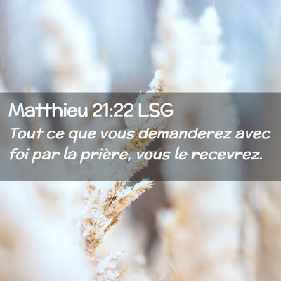 Picture 02 - Matthieu 21:22 LSG - Tout ce que vous demanderez avec foi par la - Bible Verse Picture