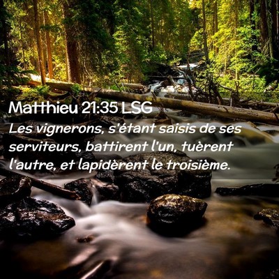 Picture 02 - Matthieu 21:35 LSG - Les vignerons, s'étant saisis de ses serviteurs, - Bible Verse Picture