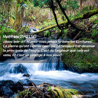 Picture 02 - Matthieu 21:42 LSG - Jésus leur dit: N'avez-vous jamais lu dans les - Bible Verse Picture