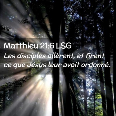 Picture 02 - Matthieu 21:6 LSG - Les disciples allèrent, et firent ce que Jésus - Bible Verse Picture