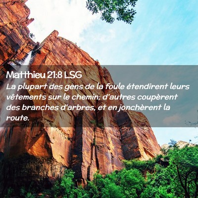 Picture 02 - Matthieu 21:8 LSG - La plupart des gens de la foule étendirent leurs - Bible Verse Picture
