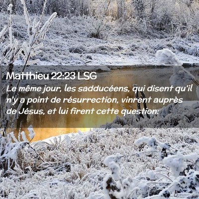 Picture 02 - Matthieu 22:23 LSG - Le même jour, les sadducéens, qui disent qu'il - Bible Verse Picture