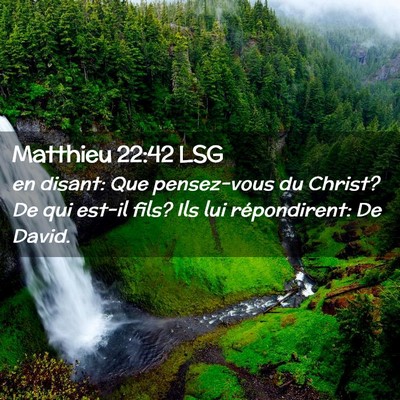 Picture 02 - Matthieu 22:42 LSG - en disant: Que pensez-vous du Christ? De qui - Bible Verse Picture