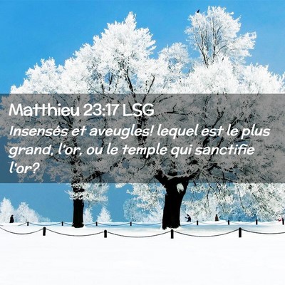Picture 02 - Matthieu 23:17 LSG - Insensés et aveugles! lequel est le plus grand, - Bible Verse Picture