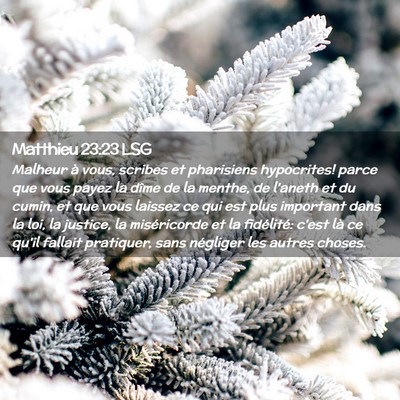 Picture 02 - Matthieu 23:23 LSG - Malheur à vous, scribes et pharisiens - Bible Verse Picture