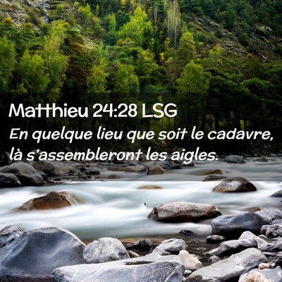 Picture 02 - Matthieu 24:28 LSG - En quelque lieu que soit le cadavre, là - Bible Verse Picture