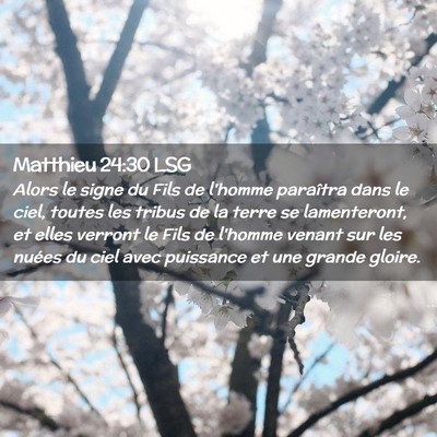 Picture 02 - Matthieu 24:30 LSG - Alors le signe du Fils de l'homme paraîtra dans - Bible Verse Picture