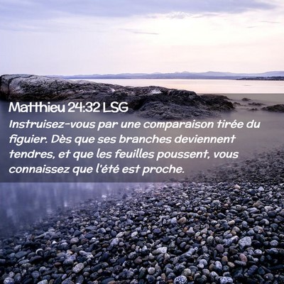 Picture 02 - Matthieu 24:32 LSG - Instruisez-vous par une comparaison tirée du - Bible Verse Picture