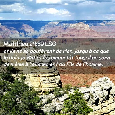 Picture 02 - Matthieu 24:39 LSG - et ils ne se doutèrent de rien, jusqu'à ce que - Bible Verse Picture