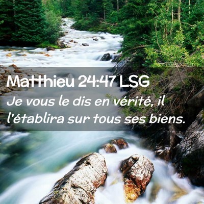 Picture 02 - Matthieu 24:47 LSG - Je vous le dis en vérité, il l'établira sur - Bible Verse Picture