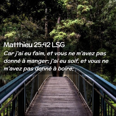 Picture 02 - Matthieu 25:42 LSG - Car j'ai eu faim, et vous ne m'avez pas donné à - Bible Verse Picture
