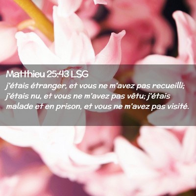 Picture 02 - Matthieu 25:43 LSG - j'étais étranger, et vous ne m'avez pas - Bible Verse Picture