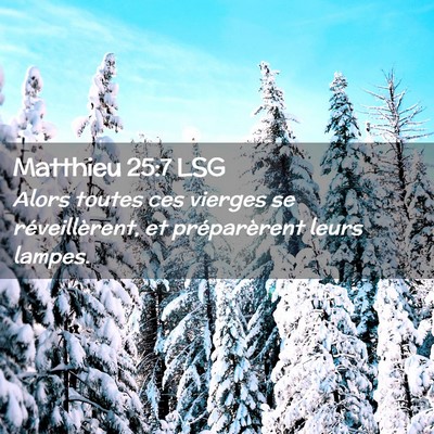 Picture 02 - Matthieu 25:7 LSG - Alors toutes ces vierges se réveillèrent, et - Bible Verse Picture